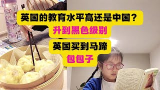 【英国生活】回答网友朋友提问：英国教育水平怎么样？和中国比，谁高？