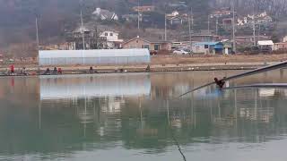 (장대낚시)대물 향어의1m30cm의 장찌 찌올림\u0026환상의 낚시대 울음 소리...korean carp fishing