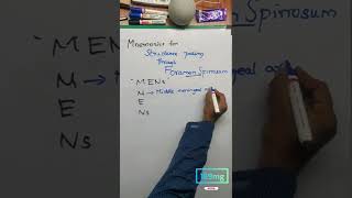 Mnemonics for Structure Passing through Foramen Spinosum|189mg