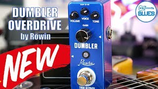 Rowin LEF-315 Dumbler Overdrive Pedal