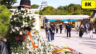 8K 30fps【兵庫県立明石公園/第96回 菊花展覧会/2024】11/10(日)9:30～11:30頃