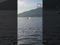 The moment a jet ski strikes a gray whale off Vancouver’s Stanley Park
