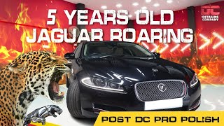 DC Pro Polish 🔥: The Secret to Reviving a 5-Year-Old Jaguar 😎