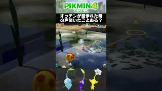 【ピクミン4】ただオッチンを踏んでしまうだけの動画  #ピクミン4 #switch  #pikmin #オッチン