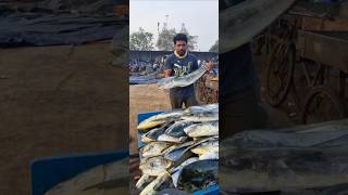 Apolofish|#vizag SeaFoods #trending #viralvideo #fishing #food #seafood #fish #seafoodrecipes #tuna