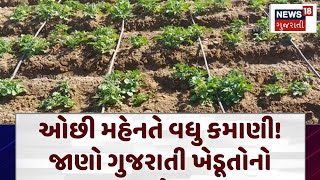 Agricultural Tips: ઓછી મહેનતે વધુ કમાણી! જાણો ગુજરાતી ખેડૂતોનો પ્રયોગ | Farming Techniques | N18V