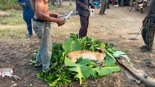 Hunting in Nigeria - Where are the Warthhogs (Kasongo) - Ep60