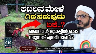 ಕಬರಿನ ಮೇಳೆ ಗಿಡ ನಡುವುದು ಏಕೆ..? | ഖബറിന്റെ മുകളിൽ ചെടി നടുന്നത് എന്തിനാണ്...? Farooq Naeemi Speech