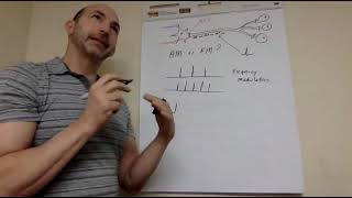 Neuronal coding of information