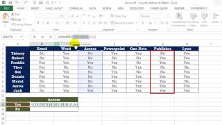 Excel Lesson 28 - CountIf, Address and Match