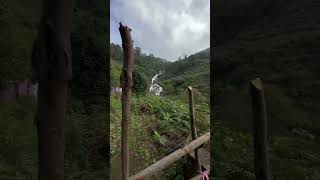 വെള്ളച്ചാട്ടം ഇഷ്ടപെടുന്നവർക്ക് വേണ്ടി #waterfalls