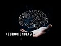 NEUROCIENCIAS: Un intrigante y asombroso viaje  I  Neurotv