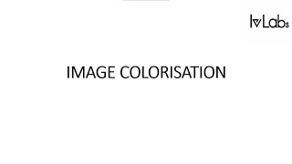 Image Colorization