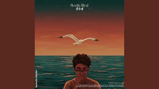 북극새 Arctic Bird (feat. Carlos Jung)