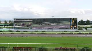 10月11日(日)京都競馬 第55回 京都大賞典 現地映像