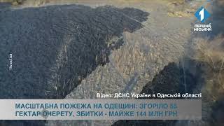 Масштабна пожежа на Одещині: згоріло 55 гектар очерету, збитки — майже 144 млн грн