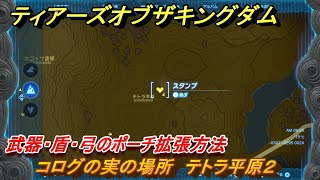 ティアキン　コログの実の場所　テトラ平原２　武器・盾・弓のポーチ拡張方法　＃９４８　【ゼルダの伝説ティアーズオブザキングダム】