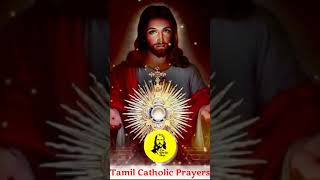 விசுவாச பிரமாணம் தமிழ் கத்தோலிக்க ஜெபங்கள் Tamil Catholic Prayers #catholicprayers #jesusprayer