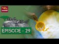 Vessagiri | වෙස්සගිරි | Episode - 29 | 2022-05-28 | Documentary | @Sri Lanka Rupavahini