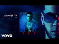 Anuel AA - Hipócrita feat. Zion (Audio)
