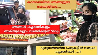 Canada Grocery Shopping|കാനഡയിലെ മലയാളി കട|Malayalam Video|