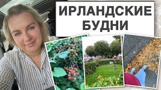 ИРЛАНДСКИЕ БУДНИ/ИНТЕРЕСНОЕ ПРЕДЛОЖЕНИЕ/ПО МАГАЗИНАМ/ЧТО КУПИЛИ/ПРОГУЛКА ПО НОВЫМ УЛОЧКАМ/КУТАБЧИКИ