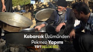 Kabarcık Üzümünden Pekmez Yapımı | Eskiden Beri | TRT Belgesel