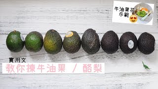 【#kitb萌料理】實用揀牛油果/酪梨教學