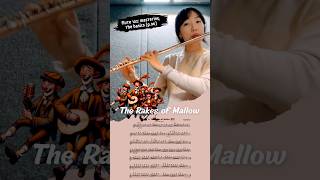 Flute 102: The Rakes of Mallow (p.96)