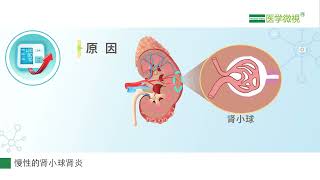 肾功能不全为什么会引起高血压？常见的肾病有哪些？