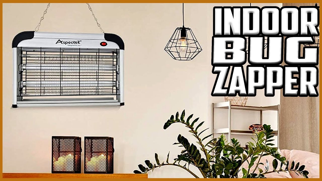 Top 5 Best Indoor Bug Zappers In 2023 Reviews - YouTube