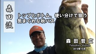 森田流、ポッパー、パンチショットで初秋のバスを狙う。琵琶湖