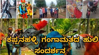 ಕಪ್ಪನಹಳ್ಳಿ ಗಂಗಾಮತದ ಹುಲಿ /kapanahalli Gangamatada huli habba