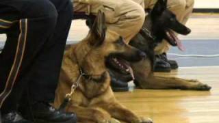 Police dogs and proud of it  [Delaware Online News Video]