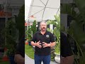 top 3 reasons why you need a container dome