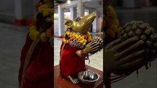 Bohra Ganesh temple #shorts