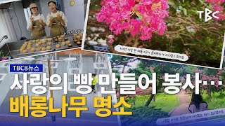 사랑의 빵 만들어 봉사···배롱나무 명소 230806ㅣTBC뉴스