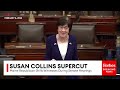 susan collins backs bipartisan solutions grills witnesses 2024 rewind