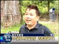 2012「八八風災」系列追蹤報導：0501_88土石未清 村民憂800歲神木枯死