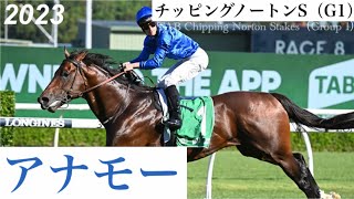 4歳馬アナモーがG1・8勝目！【チッピングノートンS 2023】/ Anamoe【TAB Chipping Norton Stakes 2023】