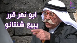 أبو نمر قرر يبيع شنتانو 😂 #الخربة