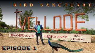 VELLODE BIRD SANCTUARY VLOG EP-1