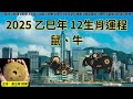 黃法寧玄學觀 20240922 2025乙巳年12生肖運程 鼠、牛