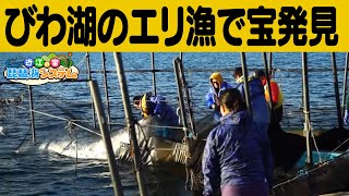 【魚】びわ湖のエリ漁で宝発見【近江の宝 琵琶湖システム】びわ湖放送