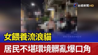 女餵養流浪貓 居民不堪環境髒亂爆口角