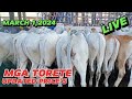 MARCH 1,2024, UPDATE PRICE NG MGA TORETE #padregarciabatangas#cattlemarket#murangbaka#cattle#brahman