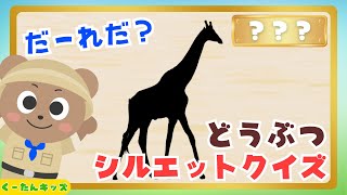 【シルエットクイズ‼️】いろんな動物さんのシルエットクイズ⭐️/知育アニメ/喜ぶ・図鑑・クイズ/2、3、4、5歳児頃の子供向け知育動画/animation