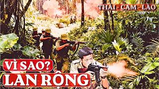 Why Did the War Break Out to Thailand, Laos, and Cambodia? | The Vietnam War (Full Version)