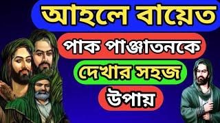 জেনে নিন আহলে বায়েতের মজেজা ও পাক পাঞ্জাতনের দর্শন করার সহজ উপায়