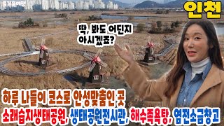 【리빙tv】즐거운여행, 인천 소래습지생태공원, 생태공원전시관, 해수족욕탕, 염전소금창고 등